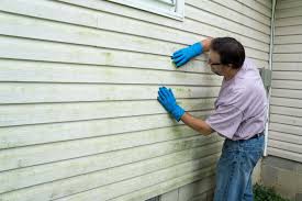 Best Insulated Siding Installation  in Warren Af, WY